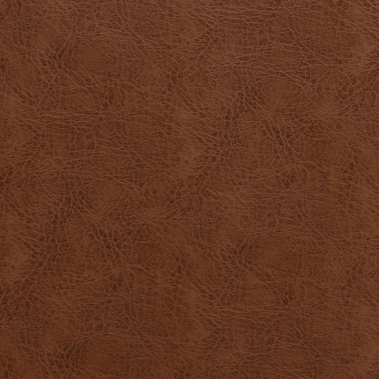 Upholstered Dining Bench For Dining Room