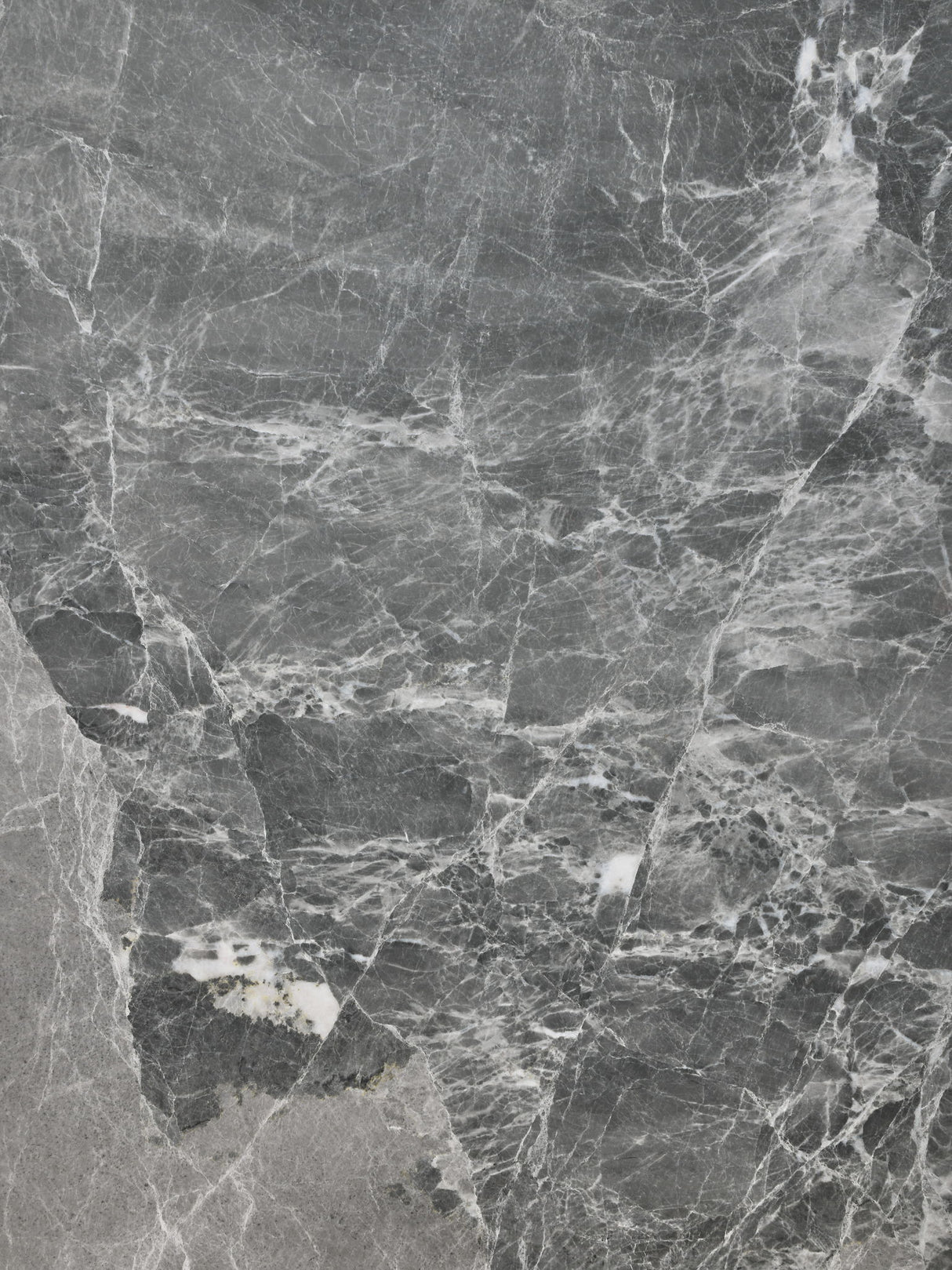 Canova - Gray Marble Top Coffee Table - White