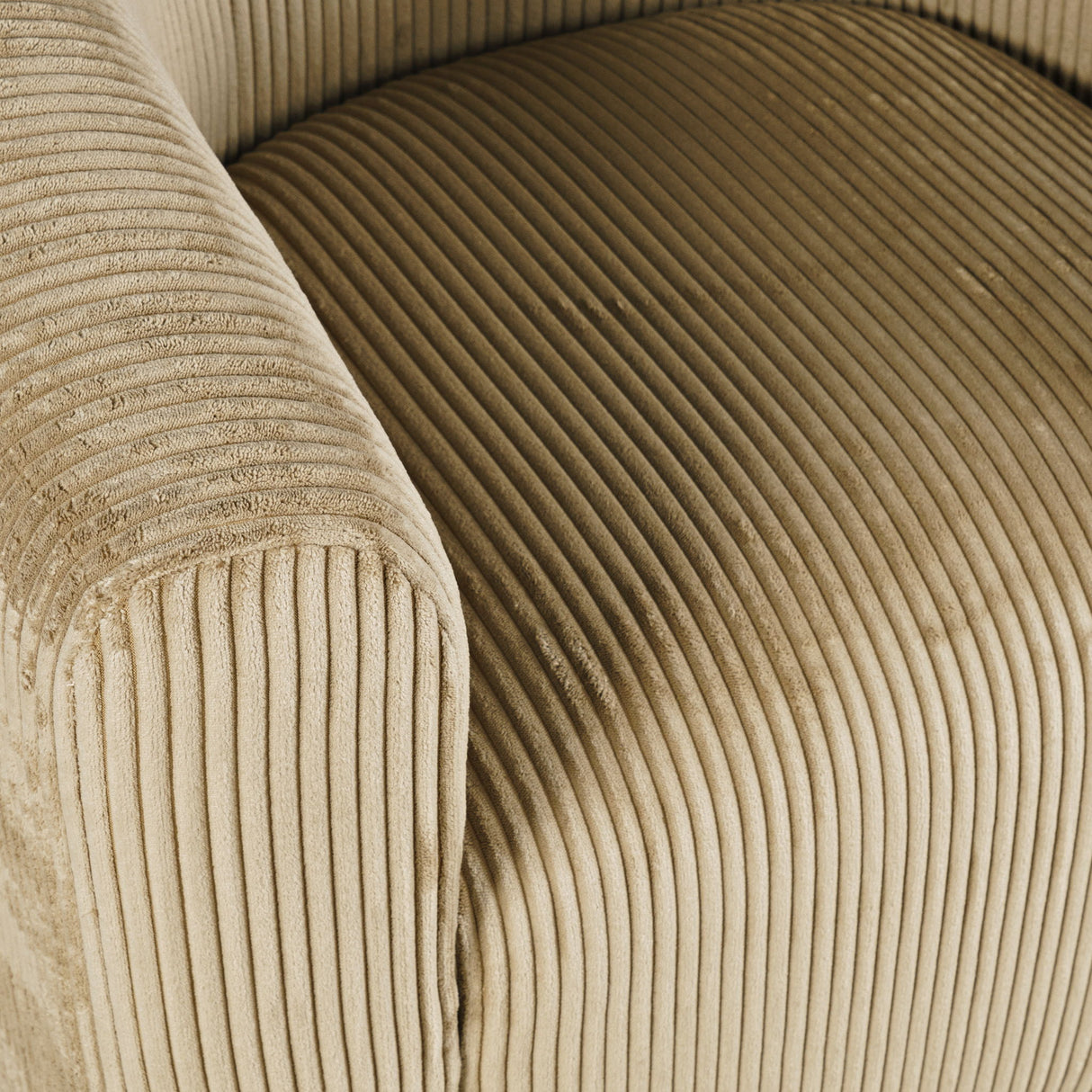Biggs - Swivel Chair