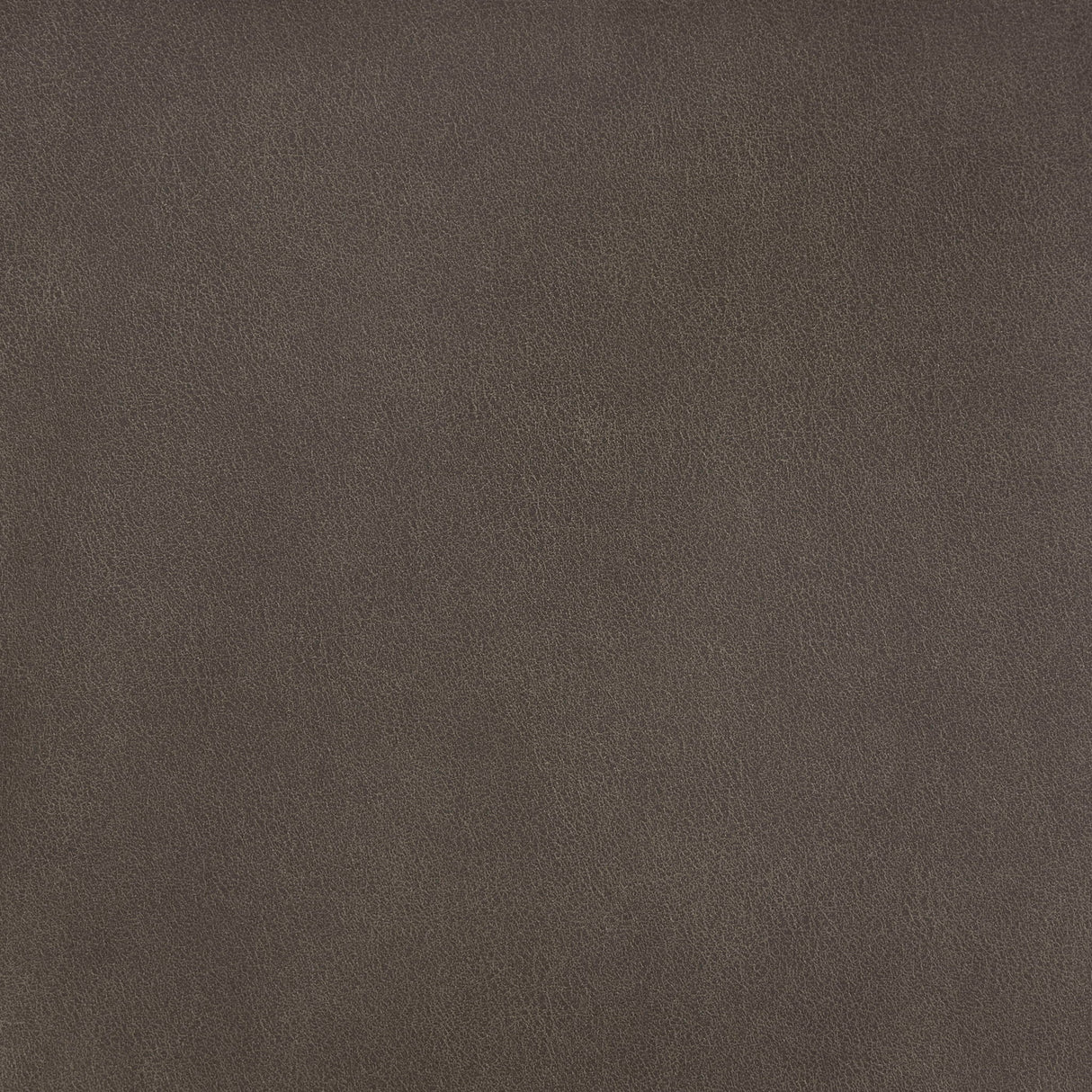 Thames - Power Lift Chair With Power Headrest - Brown