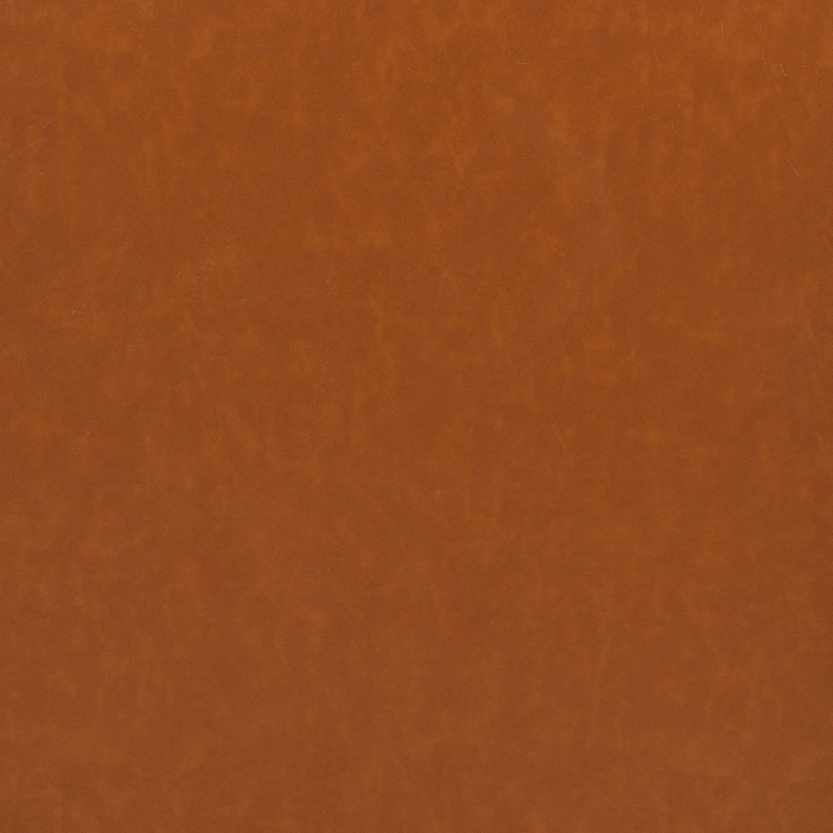 Mid - Century Accent Chair With Cushioned Seat, Brass Tipped Legs