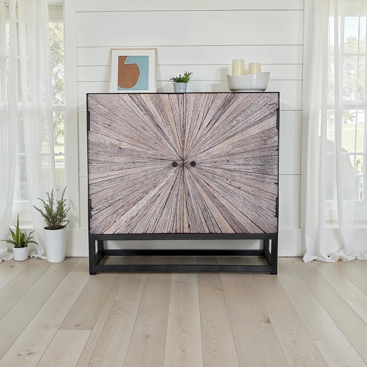 Astral Plains 2 Door Accent Cabinet