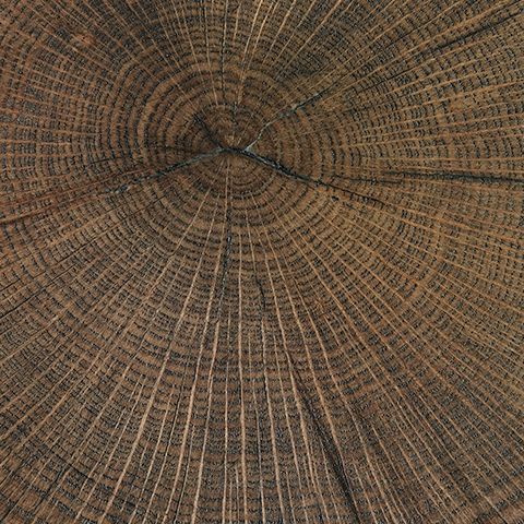 Cammund - Accent Table (Set of 2) - Brown