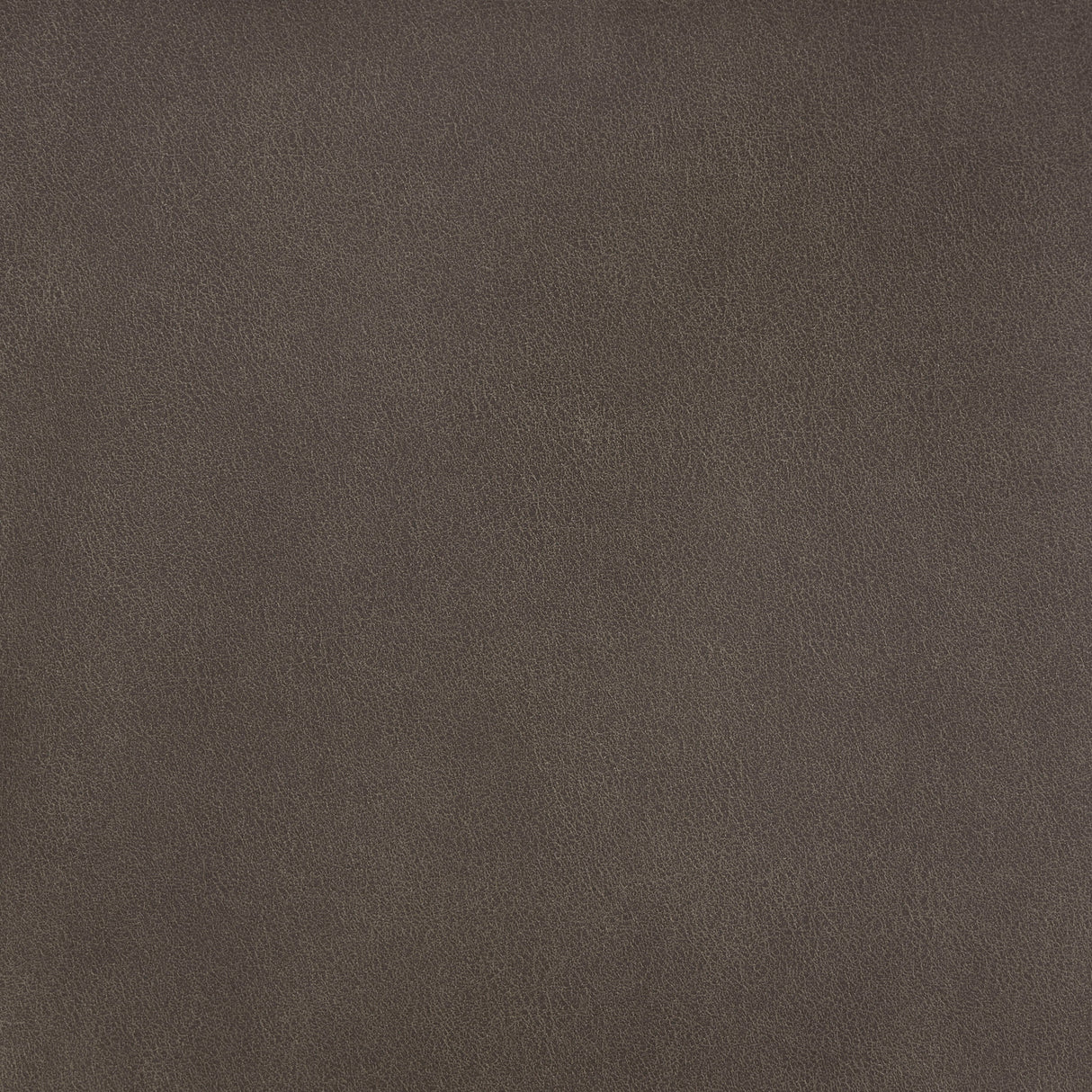 Thames - Power Lift Chair With Power Headrest - Brown