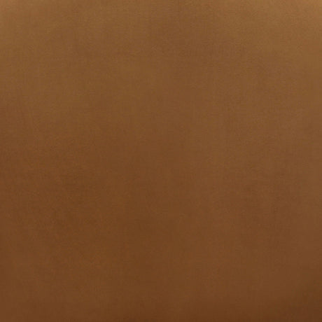 Accent Chair With Rattan Armrests And Wooden Legs Velvet For Living Room