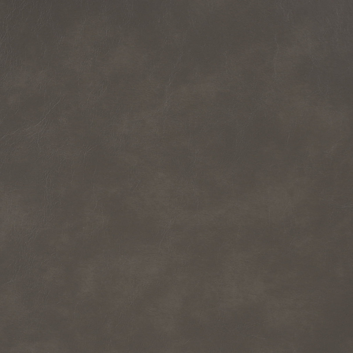 Vintage Modern Aesthetic Appeal Lounge Chair