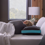 Ice Cloud + Omniphase - Mid Loft Pillow - Queen, Low Loft