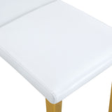 Modern Dining Chairs With Metal Legs