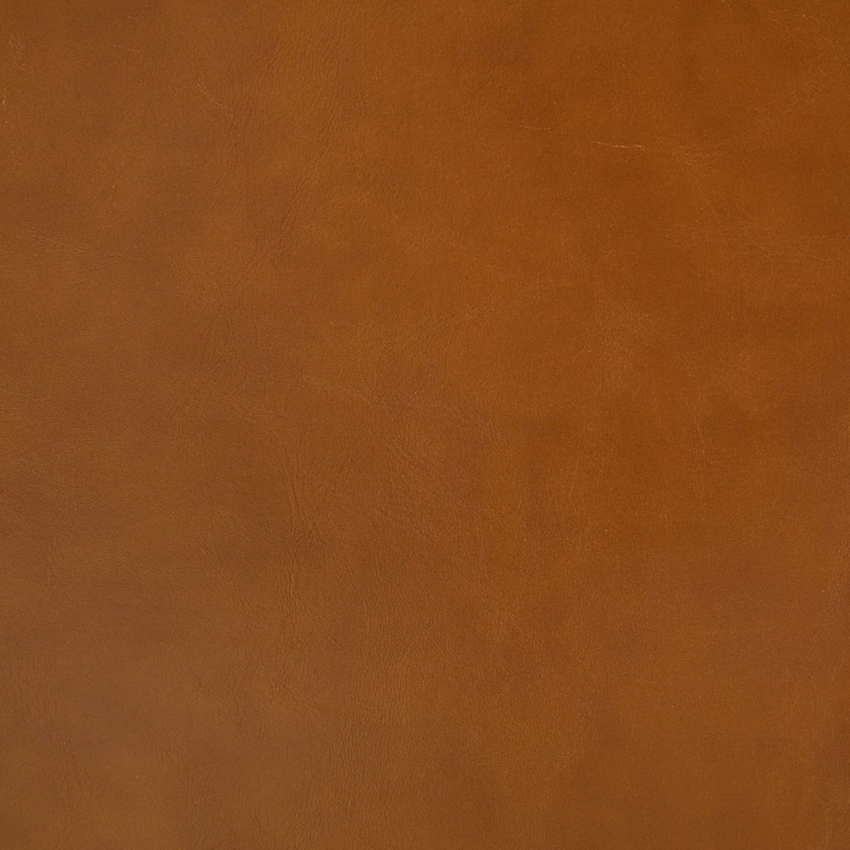 Industrial Inspired Upholstered Dining Chair Set With Metal Legs (Set of 2) - Brown