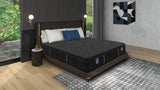 Infinte Box Top Plush Mattress