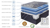 Restonic Chariot Quilted Plush Mattress Collection