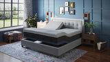 BedTech BT3000 - Flex Head Adjustable Bed Base