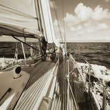 Arlanford - Sepia - Wall Art