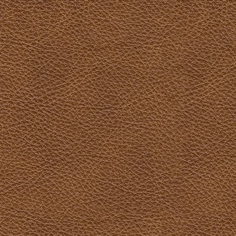 Carianna - Caramel - Loveseat