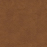 Carianna - Caramel - Loveseat