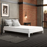 Nix - Platform Bed